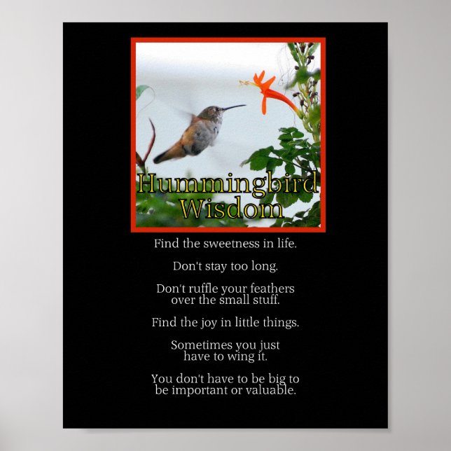 Hummingbird Wisdom Poster (Front)