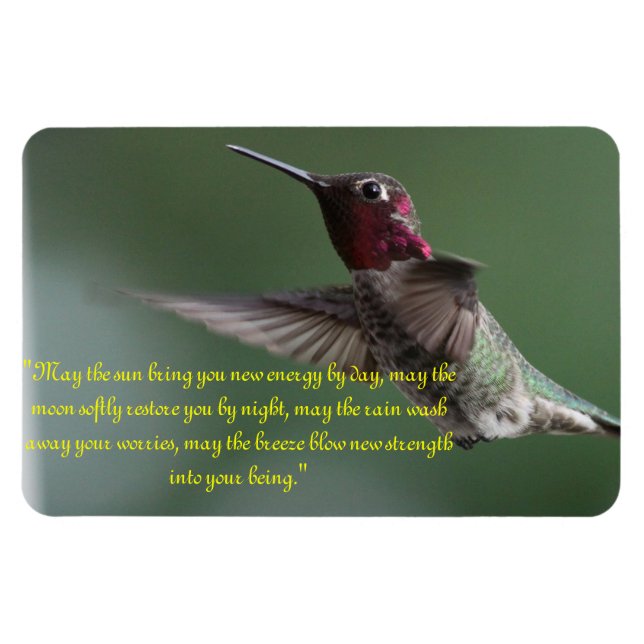 Hummingbird with Apache Saying Magnet (Horizontal)