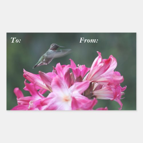 Hummingbird with belladonna lilies gift tag