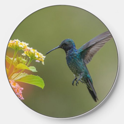 Hummingbird With Flowers Wireless Charger