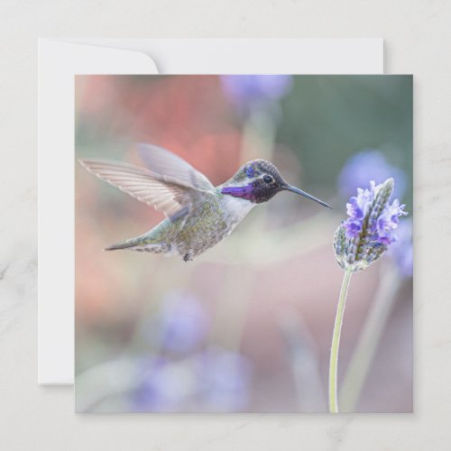 Hummingbird with Lavender I Thank You Card