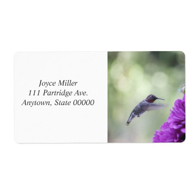 Hummingbird with purple dahlias label (Front)