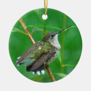 Hummingbird with Wings Spread Ceramic Ornament