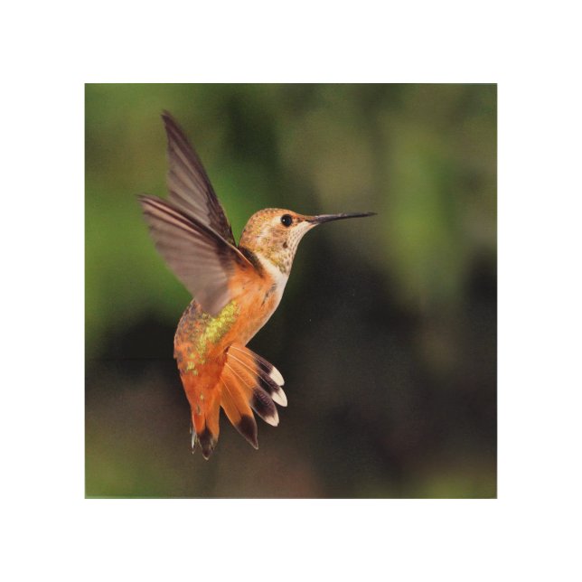 Hummingbird Wood Art (Front)