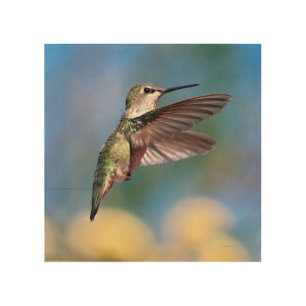 Hummingbird Wood Art