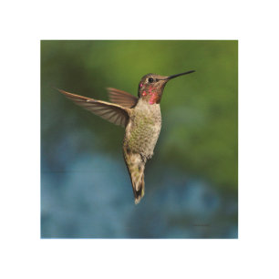 Hummingbird Wood Art