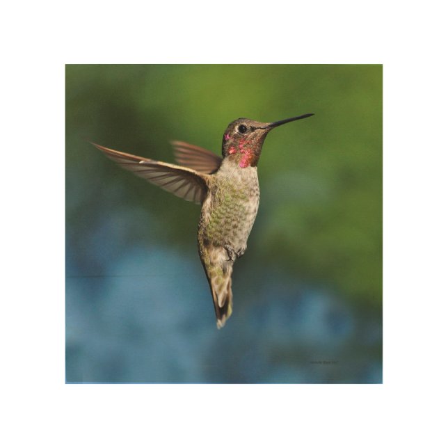Hummingbird Wood Art (Front)