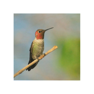 Hummingbird Wood Art