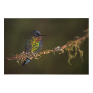 Hummingbird Wood Wall Art