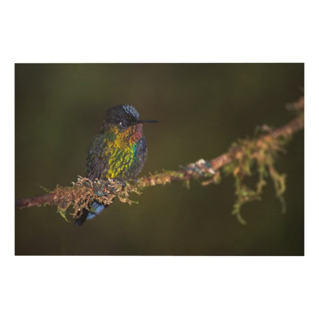 Hummingbird Wood Wall Art (Front)