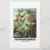 Hummingbirds (Front)