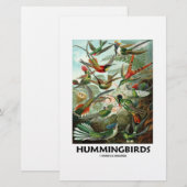 Hummingbirds (Front/Back)