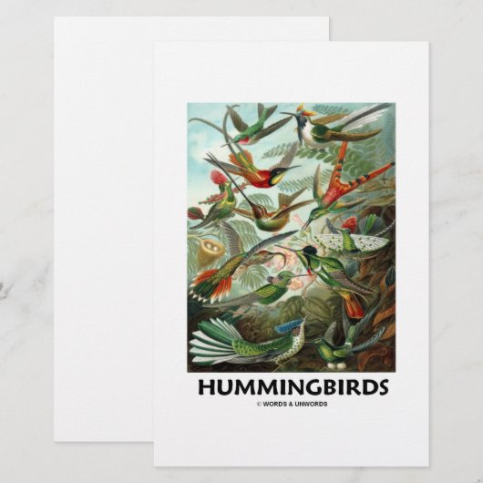 Hummingbirds (Front/Back)