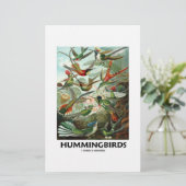 Hummingbirds (Standing Front)