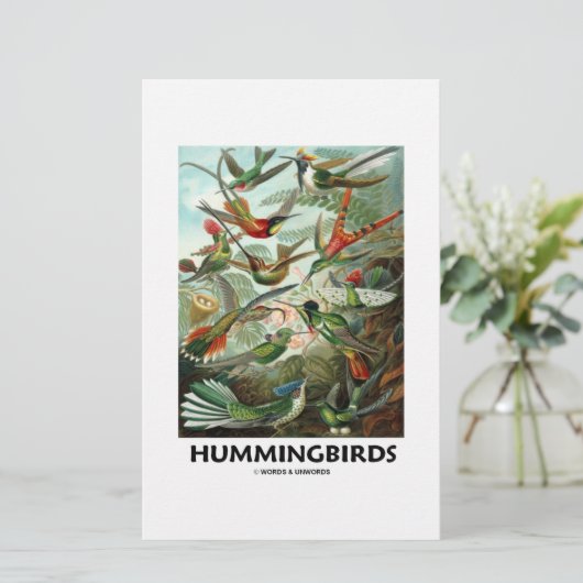 Hummingbirds (Standing Front)