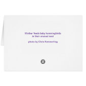 Hummingbirds (Back Horizontal)