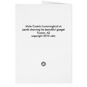 Hummingbirds068 (Back)