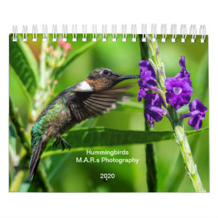 Hummingbirds 2020 calendar