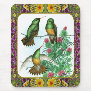 Hummingbirds and Flowers #1 Mouse Pad