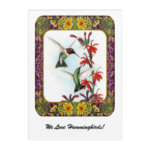 Hummingbirds and Flowers #5 Acrylic Print