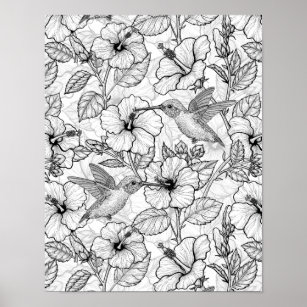 Hummingbirds and hibiscus flowers b&w poster
