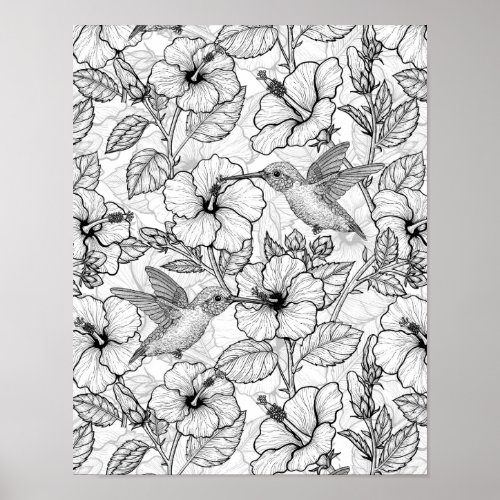 Hummingbirds and hibiscus flowers bw poster