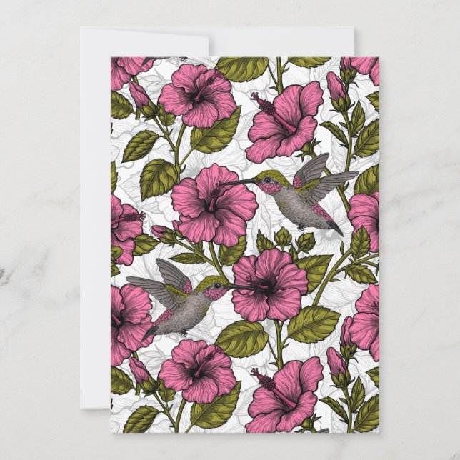 Hummingbirds and pink hibiscus flowers (Front)