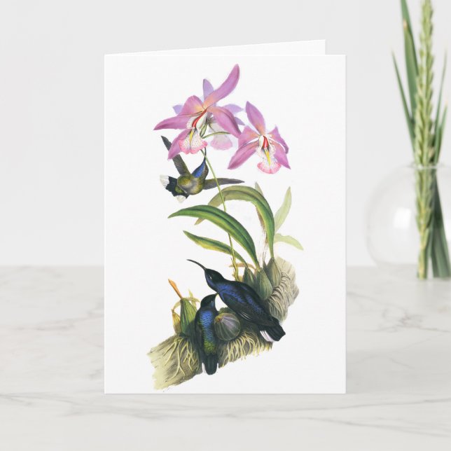Hummingbirds and Pink Orchids Card (Front)