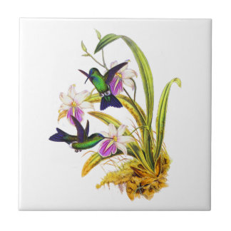 Hummingbirds and Purple Orchids Tile
