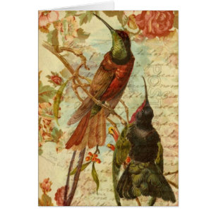 Hummingbirds and Roses All Occassion Cards