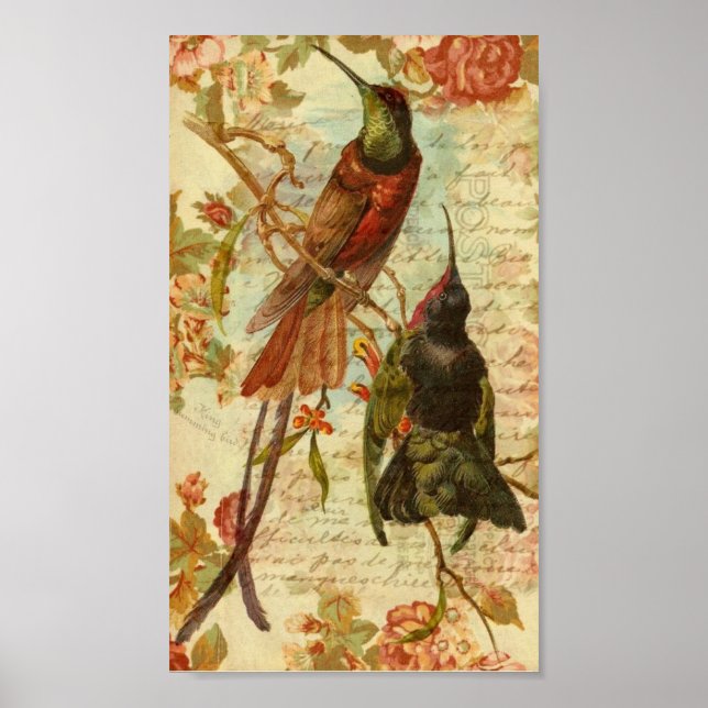 Hummingbirds and Roses Poster (Front)