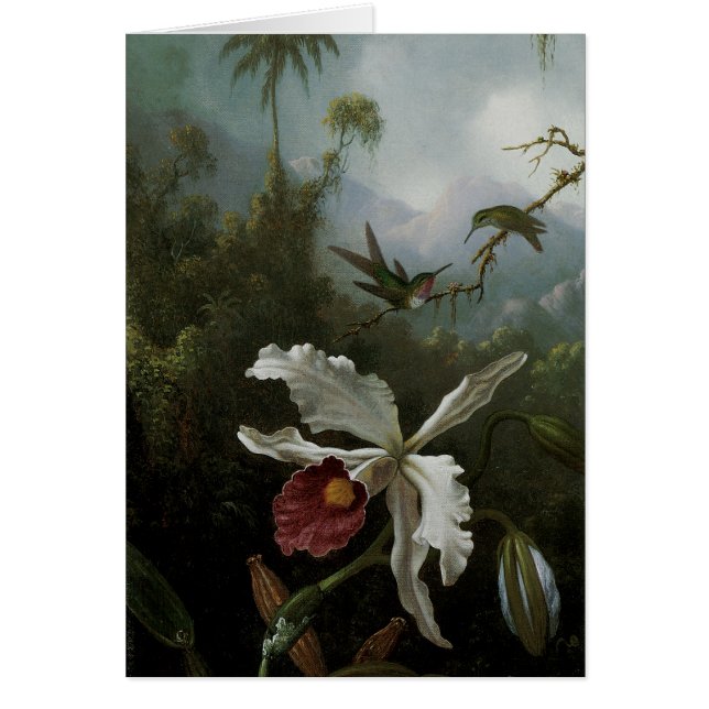 Hummingbirds and White Orchid by Martin J. Heade (Front)