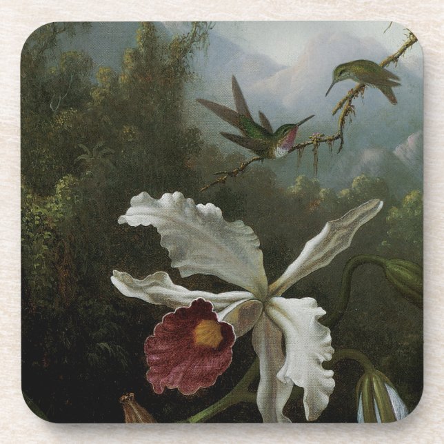 Hummingbirds and White Orchid by Martin J. Heade Beverage Coaster (Front)