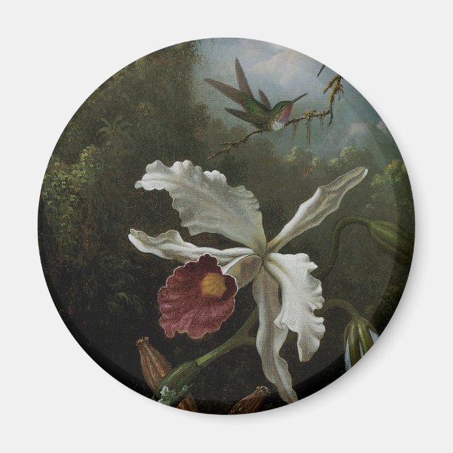 Hummingbirds and White Orchid by Martin J. Heade Magnet (Front)