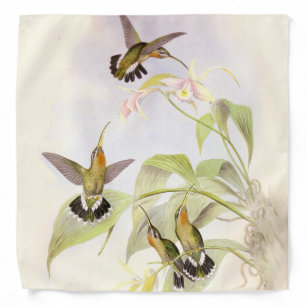 Hummingbirds Bandana