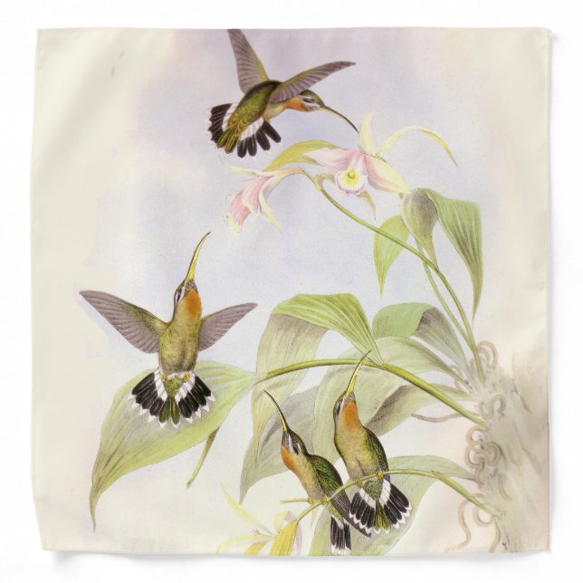 Hummingbirds Bandana (Front)