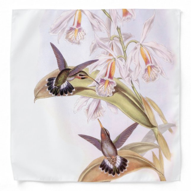 Hummingbirds Bandana (Front)