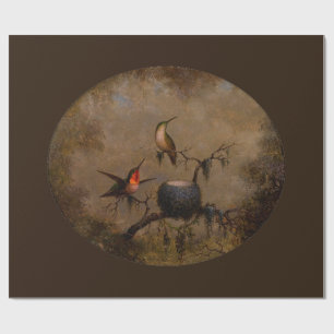 Hummingbirds bird nest victorian heade painting wrapping paper