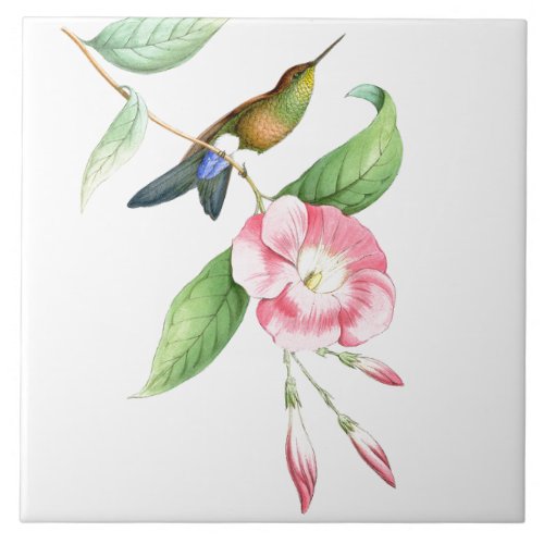 Hummingbirds Birds Flowers Floral Animals Wildlife Tile