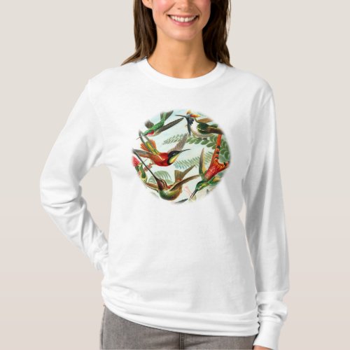 Hummingbirds by Ernst Haeckel 2 T_Shirt