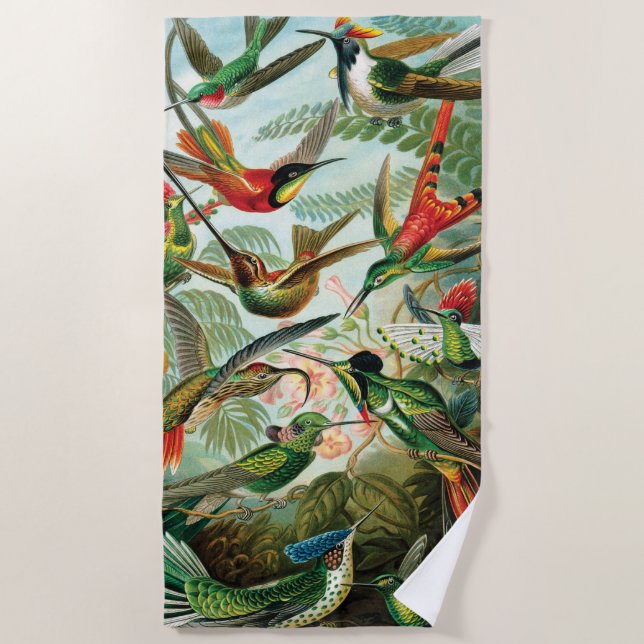 Hummingbirds by Ernst Haeckel Beach Towel (Front)