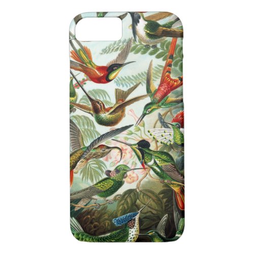 Hummingbirds by Ernst Haeckel iPhone 87 Case