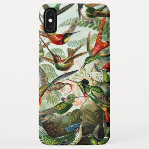 Hummingbirds by Ernst Haeckel iPhone XS Max Case