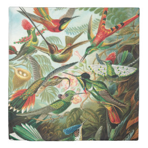 Hummingbirds by Ernst Haeckel Duvet Cover