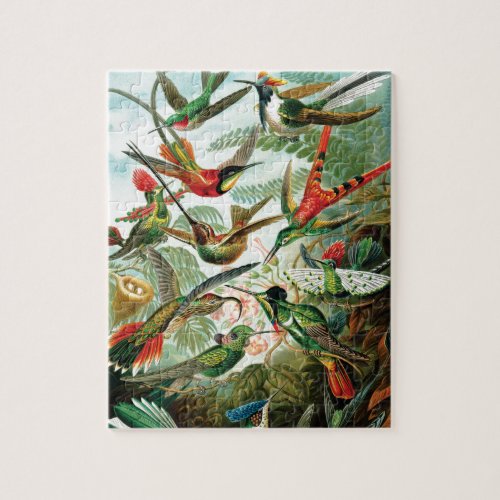 Hummingbirds by Ernst Haeckel Jigsaw Puzzle