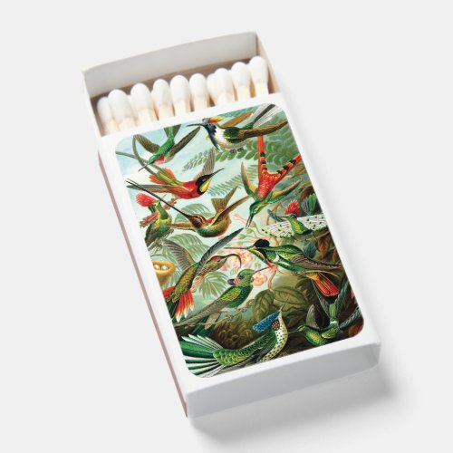 Hummingbirds by Ernst Haeckel   Matchboxes