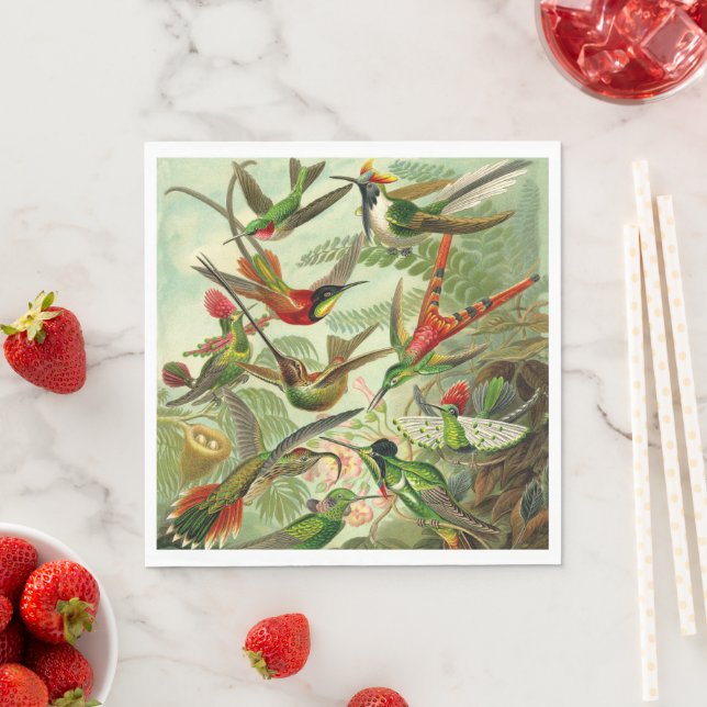 Hummingbirds by Ernst Haeckel Napkins (Insitu)