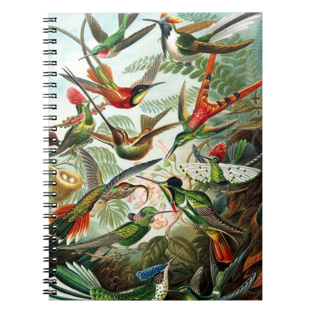 Hummingbirds by Ernst Haeckel Notebook (Front)