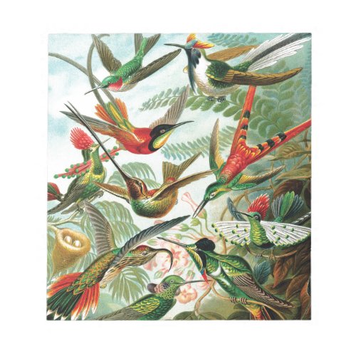 Hummingbirds by Ernst Haeckel Notepad