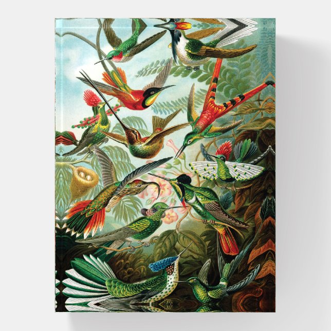 Hummingbirds by Ernst Haeckel Paperweight (Vertical)